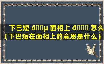 下巴短 🐵 面相上 🐅 怎么说（下巴短在面相上的意思是什么）